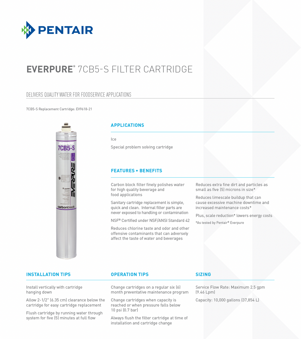 Everpure® 7CB5-S Replacement Water Filter
