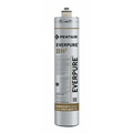 Everpure BH Replacement Water Filter