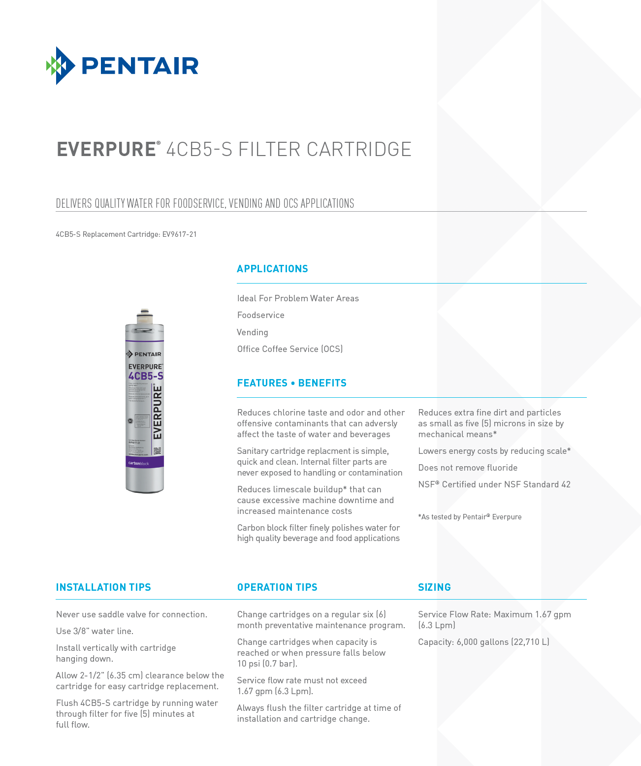 Everpure® 4CB5-S Replacement Water Filter