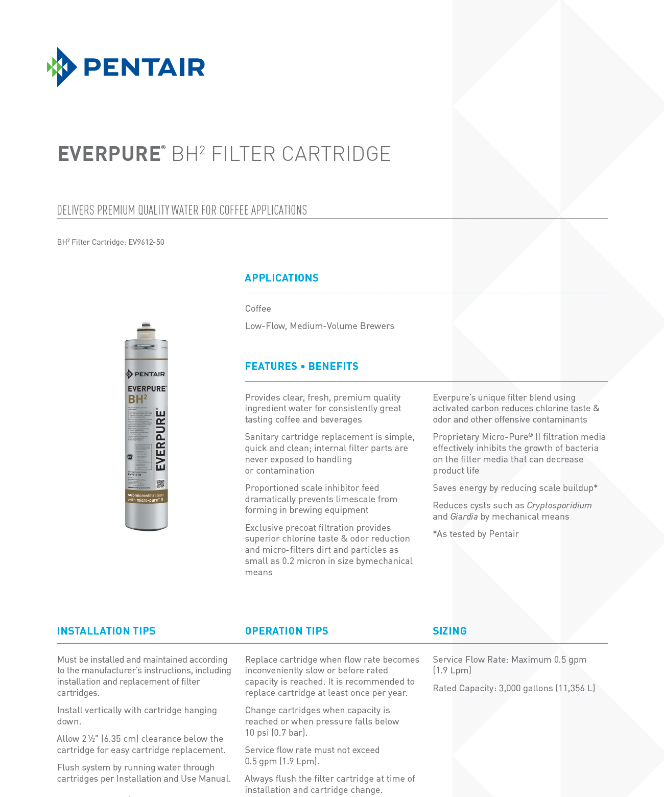 Everpure® BH² Replacement Water Filter