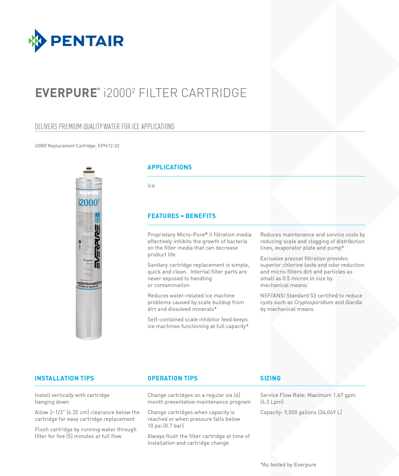 Everpure® i2000 Replacement Water Filter